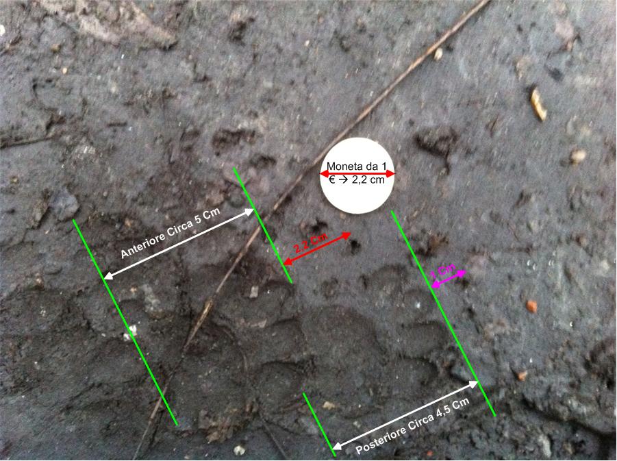 Tasso? Mi confermate i dettagli...